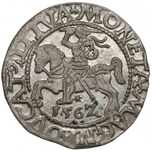 Zygmunt II August, Półgrosz Wilno 1562