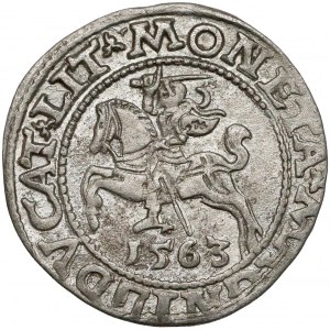 Zygmunt II August, Półgrosz Wilno 1563 - mała Pogoń - LIT - b.rzadki