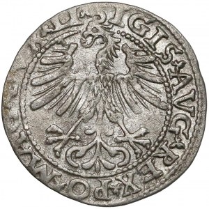 Zygmunt II August, Półgrosz Wilno 1563 - mała Pogoń - LIT - b.rzadki
