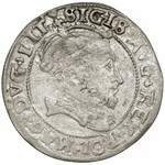 Zygmunt II August, Grosz na stopę litewską 1546 - błąd DVG - b. rzadki