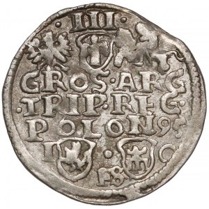 Zygmunt III Waza, Trojak Bydgoszcz 1595 - kula nad FS
