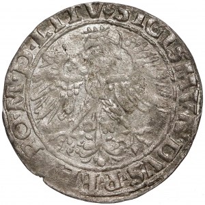 Zygmunt I Stary, Grosz Wilno 1535 - litera N - listopad