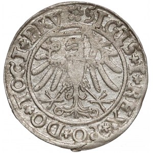 Zygmunt I Stary, Grosz Elbląg 1534
