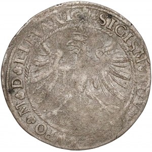 Zygmunt I Stary, Grosz Wilno 1535 - bez znaku - sierpień