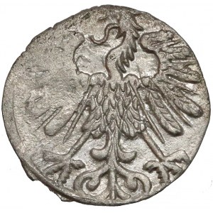 Zygmunt II August, Denar Wilno 1558/8 - podwójna 8