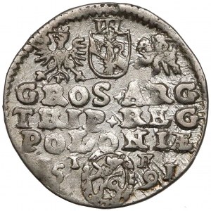 Zygmunt III Waza, Trojak Olkusz 1591 - ozdobna 