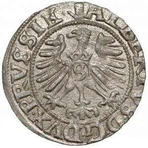 Albrecht Hohenzollern, Szeląg Królewiec 1557