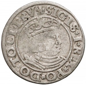 Zygmunt I Stary, Grosz Gdańsk 1530 - pierwszy - rzadki 