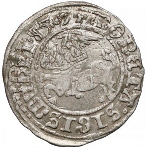 Zygmunt I Stary, Półgrosz Wilno 1509 