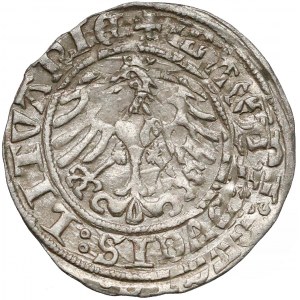 Zygmunt I Stary, Półgrosz Wilno 1509 