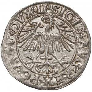 Zygmunt II August, Półgrosz Wilno 1549 - wygięta