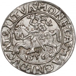 Zygmunt II August, Półgrosz Wilno 1556 - LITVA