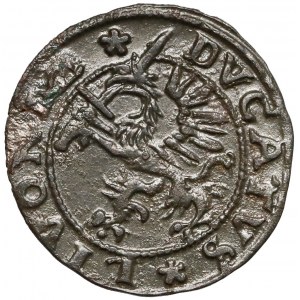 Inflanty, Szeląg Dahlen 1572 - b. ładny 