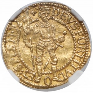 Netherlands, West-Friesland, Ducat 1595/3 - NGC AU58