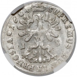 Deutschland, Brandenburg-Deutschland, Preußen, Friedrich Wilhelm, 18 Groschen Königsberg 1684 HS - NGC AU58