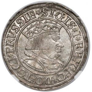 Zygmunt I Stary, Grosz Toruń 1534 - PIĘKNY