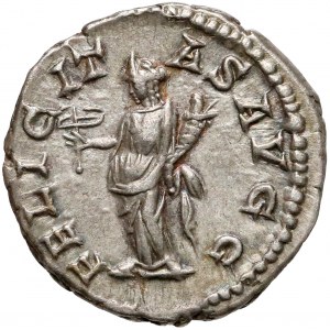 Septymiusz Sewer, Denar Rzym (202-210) - Felicitas