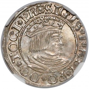 Zygmunt I Stary, Grosz Gdańsk 1533