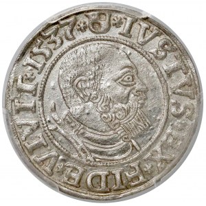 Albrecht Hohenzollern, Grosz Królewiec 1537