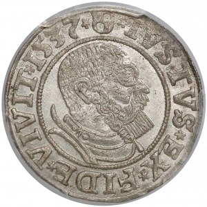 Albrecht Hohenzollern, Grosz Królewiec 1537 - b. ładny