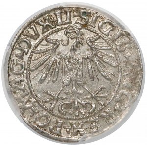 Zygmunt II August, Półgrosz Wilno 1549 - prosta