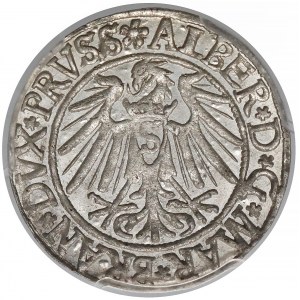 Albrecht Hohenzollern, Grosz Królewiec 1539