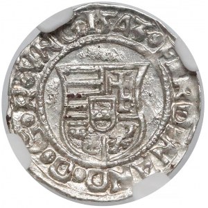 Węgry, Ferdynand I, Denar Kremnica 1543 KB