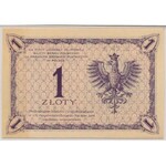 1 złoty 1919 - S.79 A 