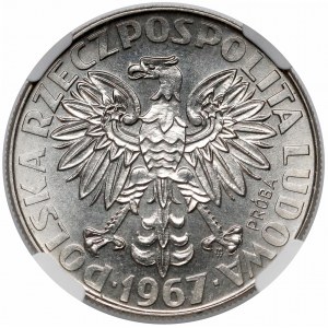 Próba NIKIEL 10 złotych 1967 Skłodowska - na wprost