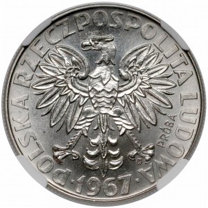 Próba NIKIEL 10 złotych 1967 Skłodowska - na wprost
