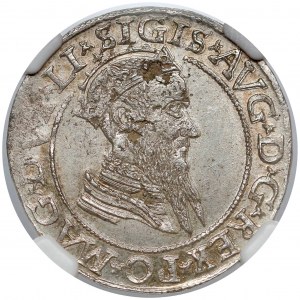 Zygmunt II August, Czworak Wilno 1568 - NGC MS61