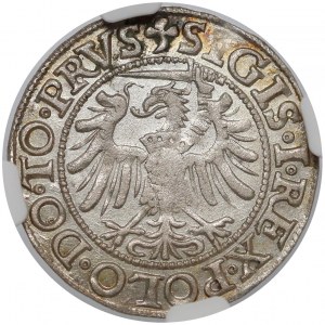 Zygmunt I Stary, Grosz Elbląg 1538 - RZADKI