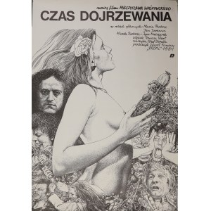 Zestaw polskich plakatów filmowych (41szt)