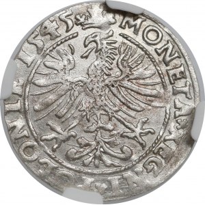 Zygmunt I Stary, Grosz Kraków 1545 - ładny