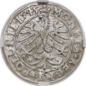 Zygmunt I Stary, Grosz Kraków 1545 - bez ozdobników