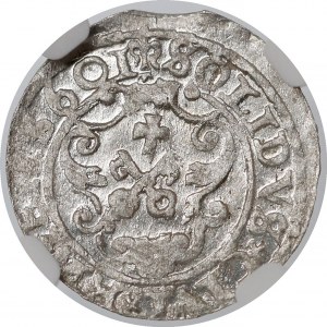 Zygmunt III Waza, Szeląg Ryga 1601 