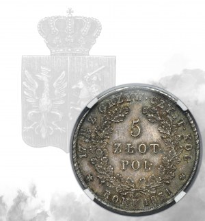 Rivolta di novembre, 5 zloty Varsavia 1831 KG - NGC MS61