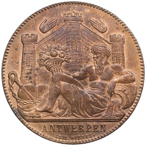 Belgium (Antwerpen) Universal Exposition Event medal by Léopold Wiener, 1885