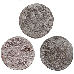 Riga, Kokenhusen (Archbishopric of Riga) AR Schilling 1563 - Wilhelm Markgraf von Brandenburg (1539-1563) (3)
