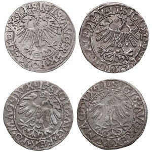 Collection of Polish-Lithuanian Commonwealth 1/2 Grosz 1556-1559 (4)