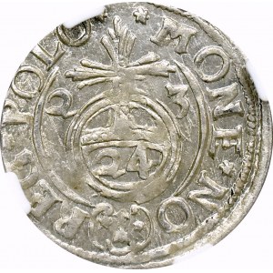 Zygmunt III Waza, Półtorak 1623 Bydgoszcz - NGC MS64