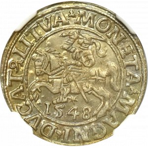 Zygmunt II August, Półgrosz 1548 Wilno - NGC MS66 