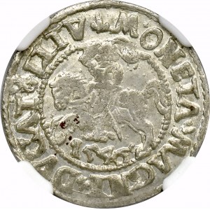 Zygmunt II August, Półgrosz 1546 Wilno - NGC MS62 