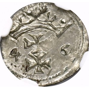 Zygmunt I Stary, Denar 1546 Gdańsk - NGC MS64