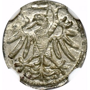 Zygmunt I Stary, Denar 1546 Gdańsk - NGC MS64