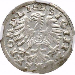 Zygmunt III Waza, Grosz 1608 Wilno - NGC MS62 