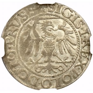 Zygmunt I Stary, Grosz 1540 Elbląg - NGC MS62