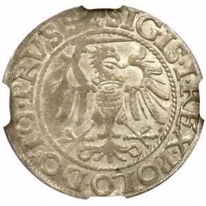 Zygmunt I Stary, Grosz 1540 Elbląg - NGC MS62