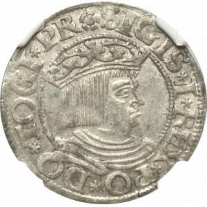 Zygmunt I Stary, Grosz 1534 Gdańsk - NGC AU58 