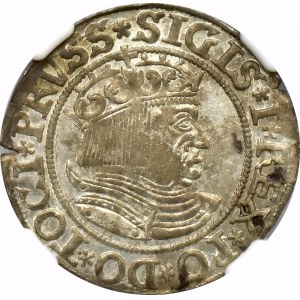 Zygmunt I Stary, Grosz 1533 Toruń - PRVSS/PRVSSIE NGC MS62 